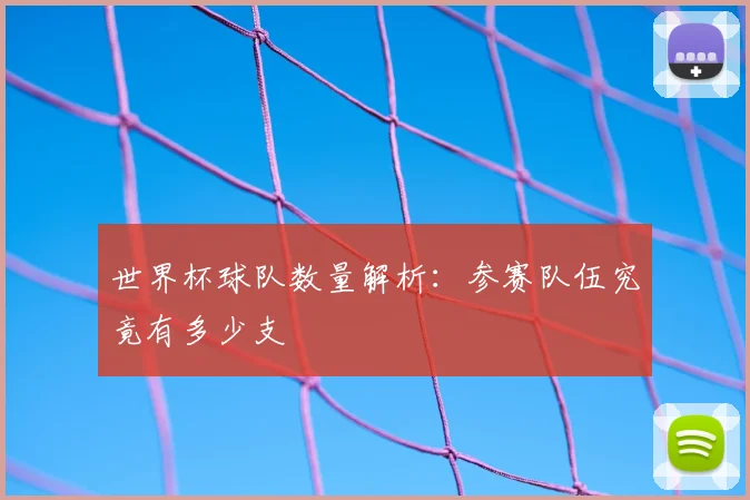 世界杯球队数量解析：参赛队伍究竟有多少支