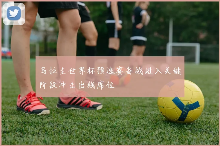 乌拉圭世界杯预选赛备战进入关键阶段冲击出线席位