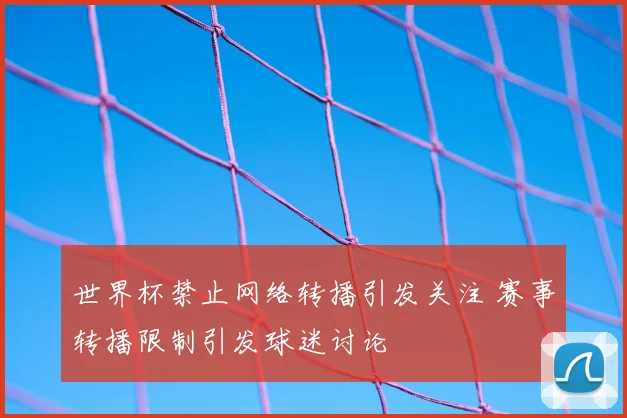 世界杯禁止网络转播引发关注 赛事转播限制引发球迷讨论