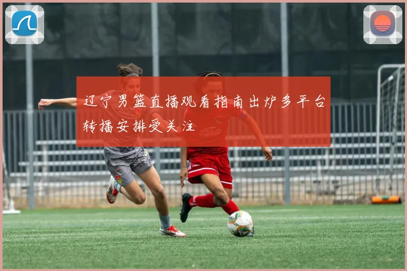 辽宁男篮直播观看指南出炉多平台转播安排受关注