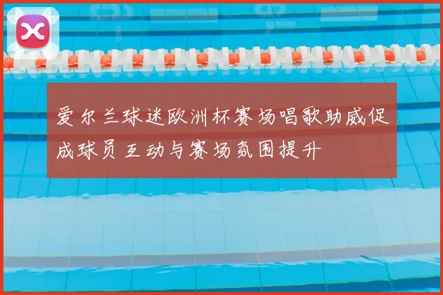 爱尔兰球迷欧洲杯赛场唱歌助威促成球员互动与赛场氛围提升