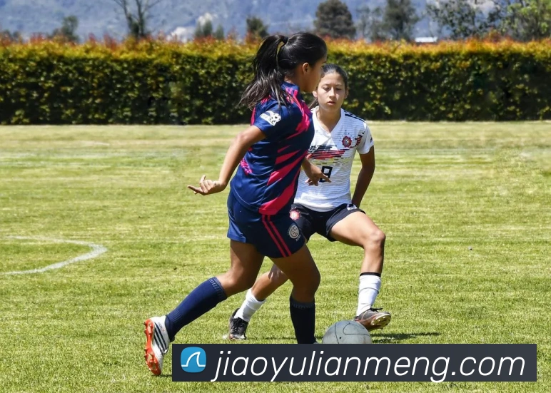 开云在线官网登录品牌故事